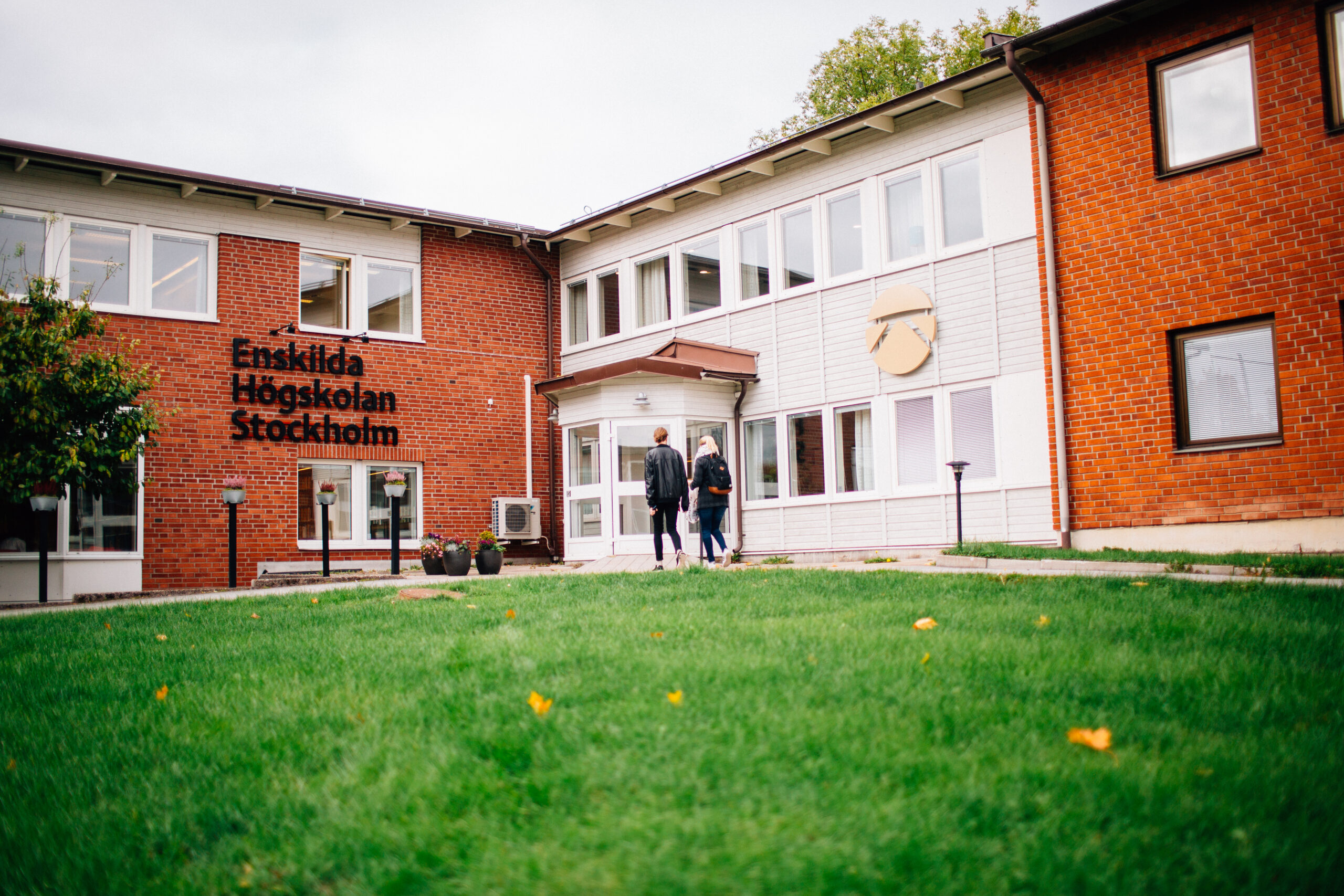 Website and course catalog