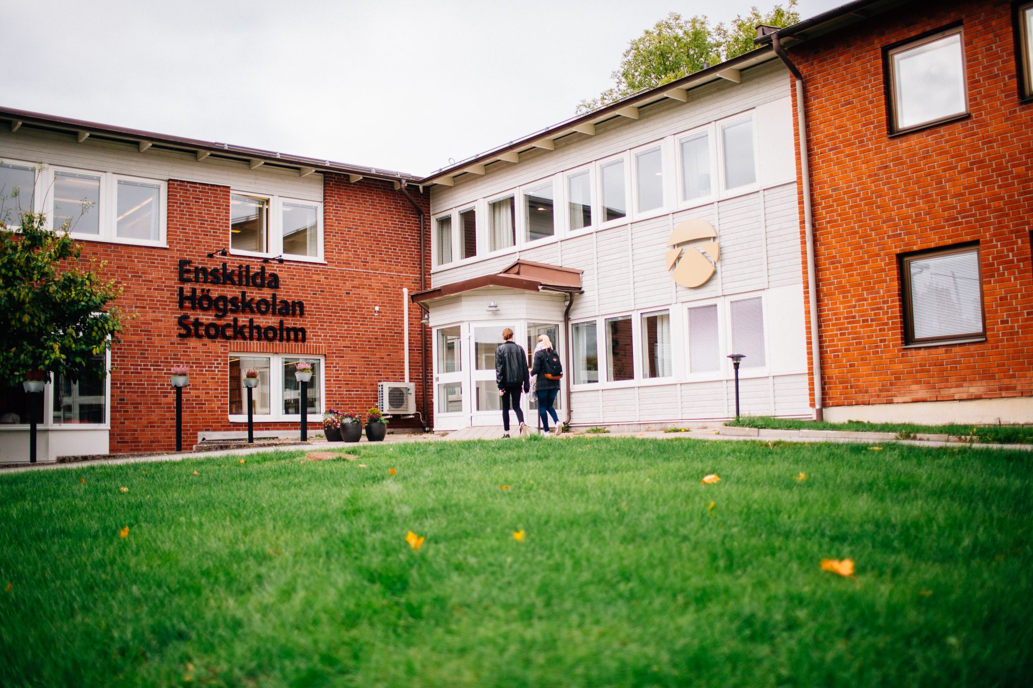 Webbplats och kurskatalog